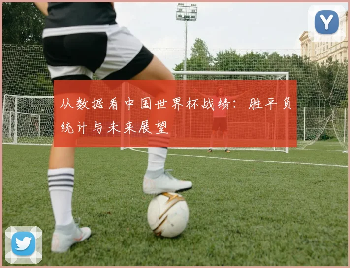 从数据看中国世界杯战绩：胜平负统计与未来展望
